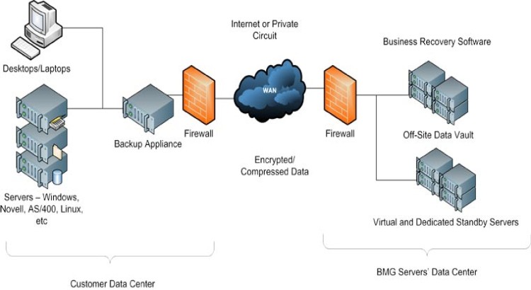 I create backup and disaster recovery plans to protect data and ensure business continuity.