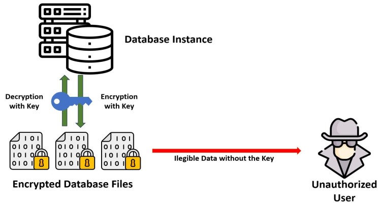 Expert Database Security Consulting